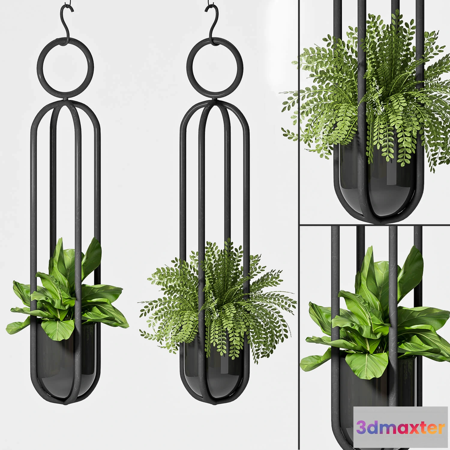 1605182 - decoration - Hanging plants 02 3D Max