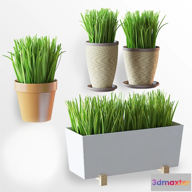 1605184 - decoration - Home plants 013 3D Max