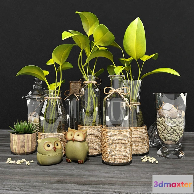 1605196 - decoration - Decorative plants set 4 3D Max