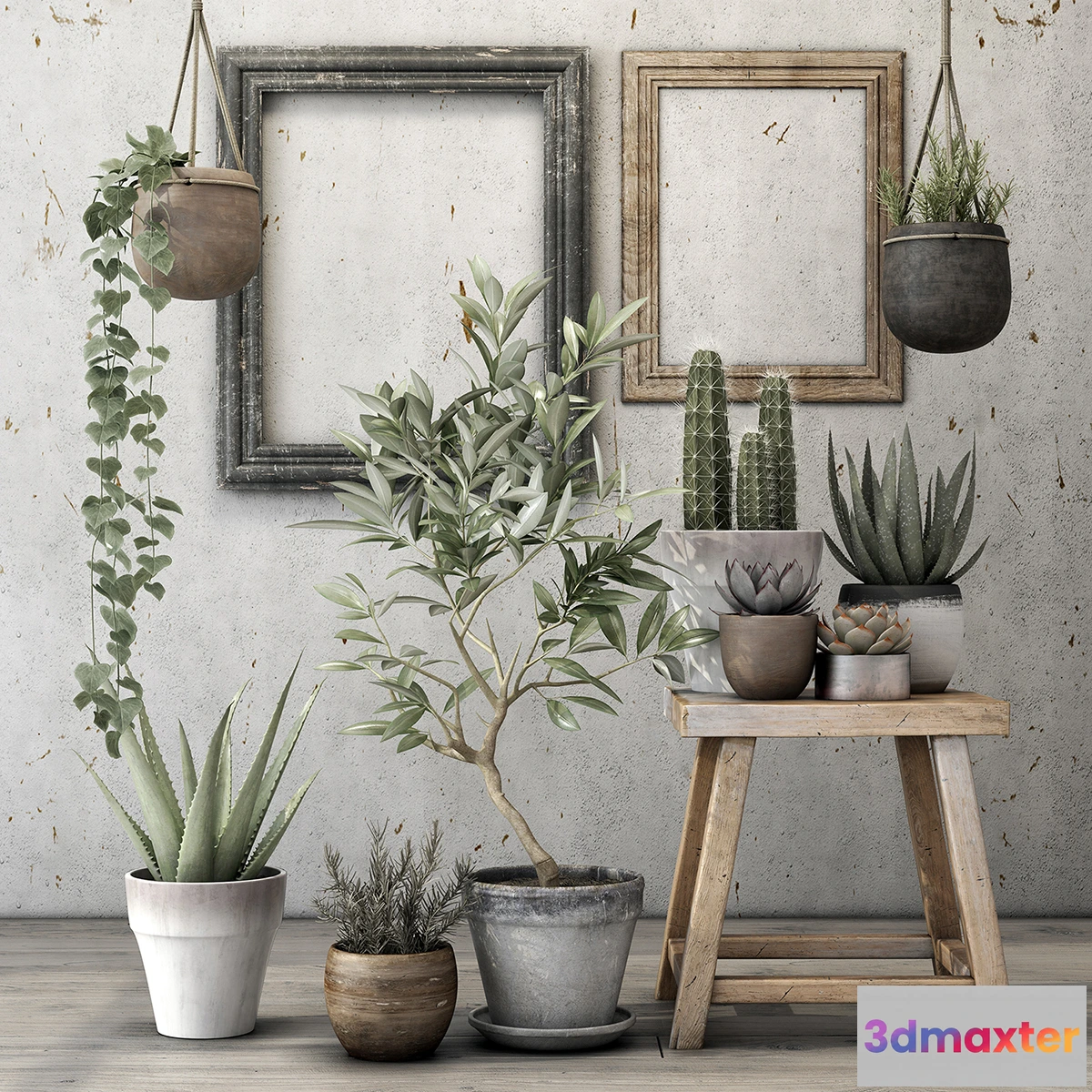 1605208 - decoration - Old plants set 06 3D Max