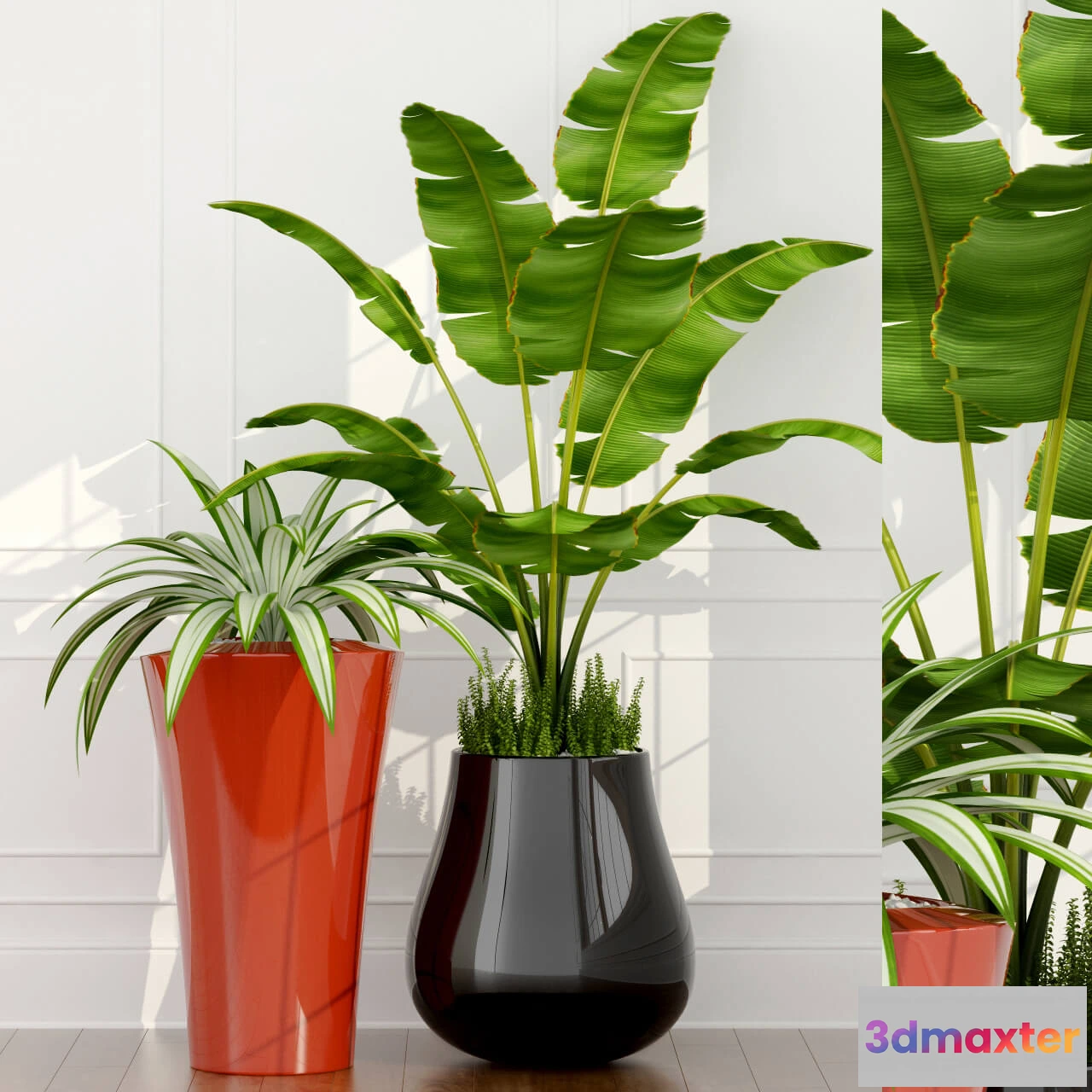 1605212 - decoration - Plants set 07 3D Max