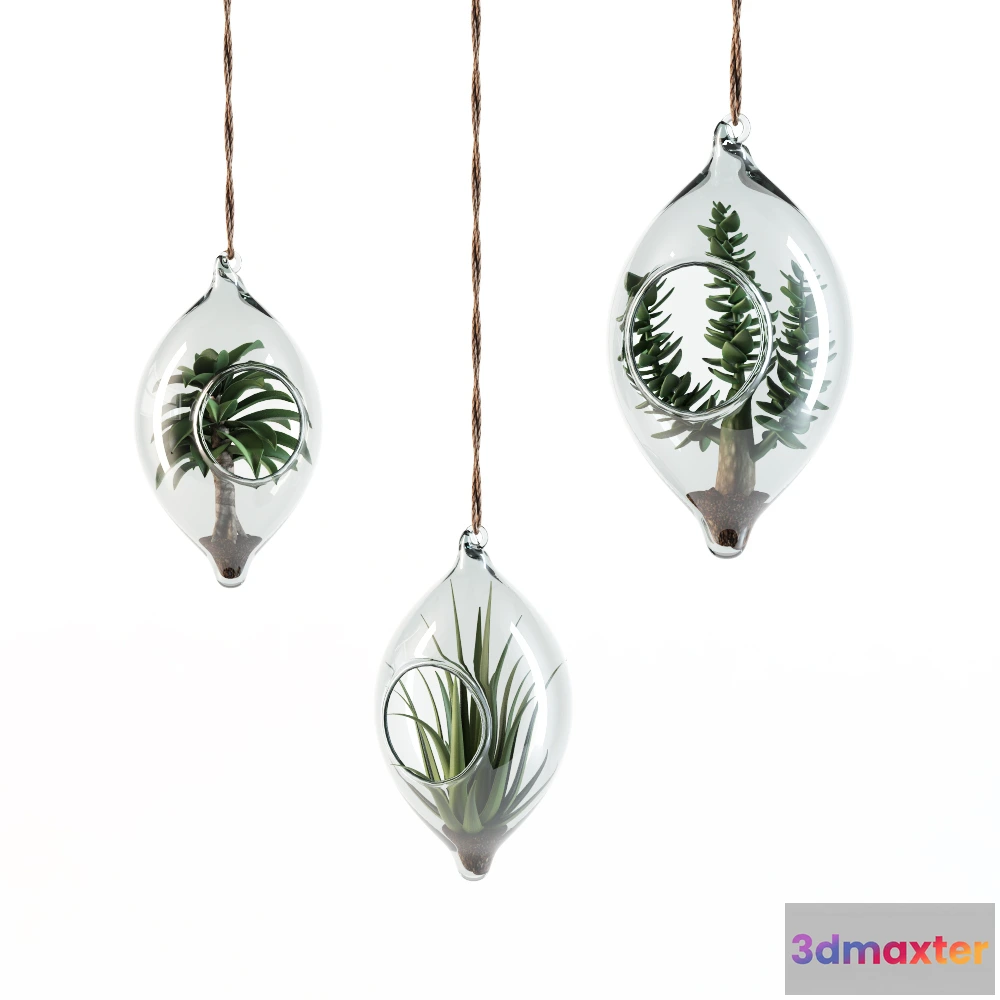 1605254 - decoration - Decorative plants set 2 3D Max