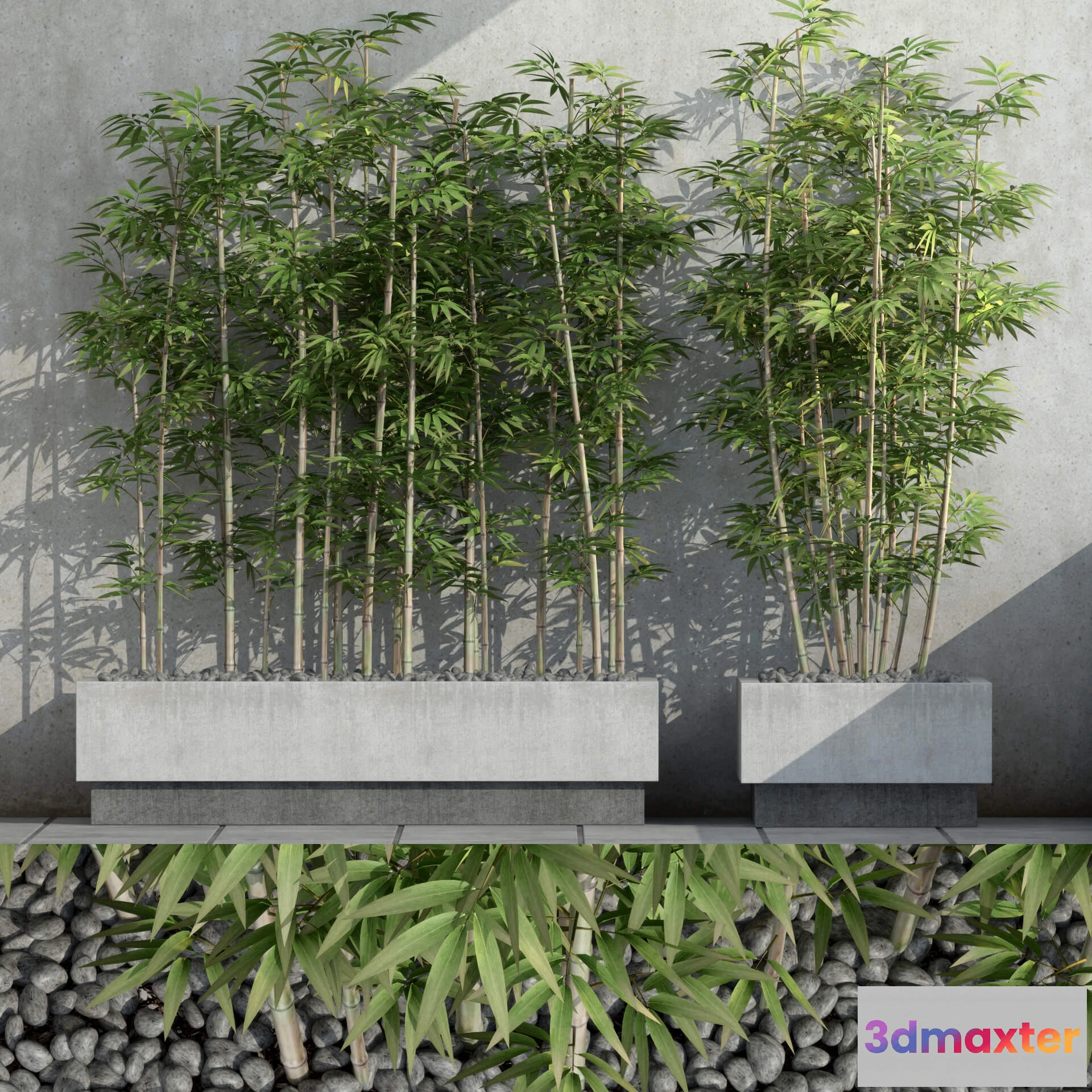 1605256 - decoration - Plants collection 037 3D Max