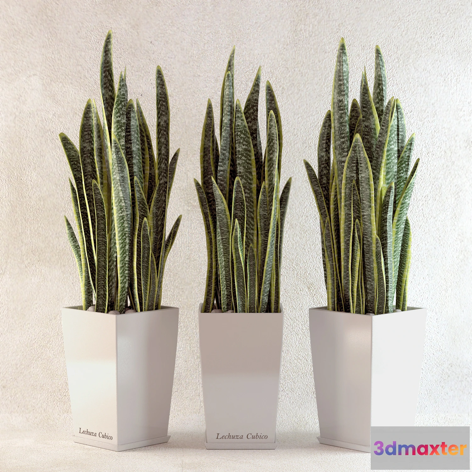 1605282 - decoration - Plants collection 107 3D Max