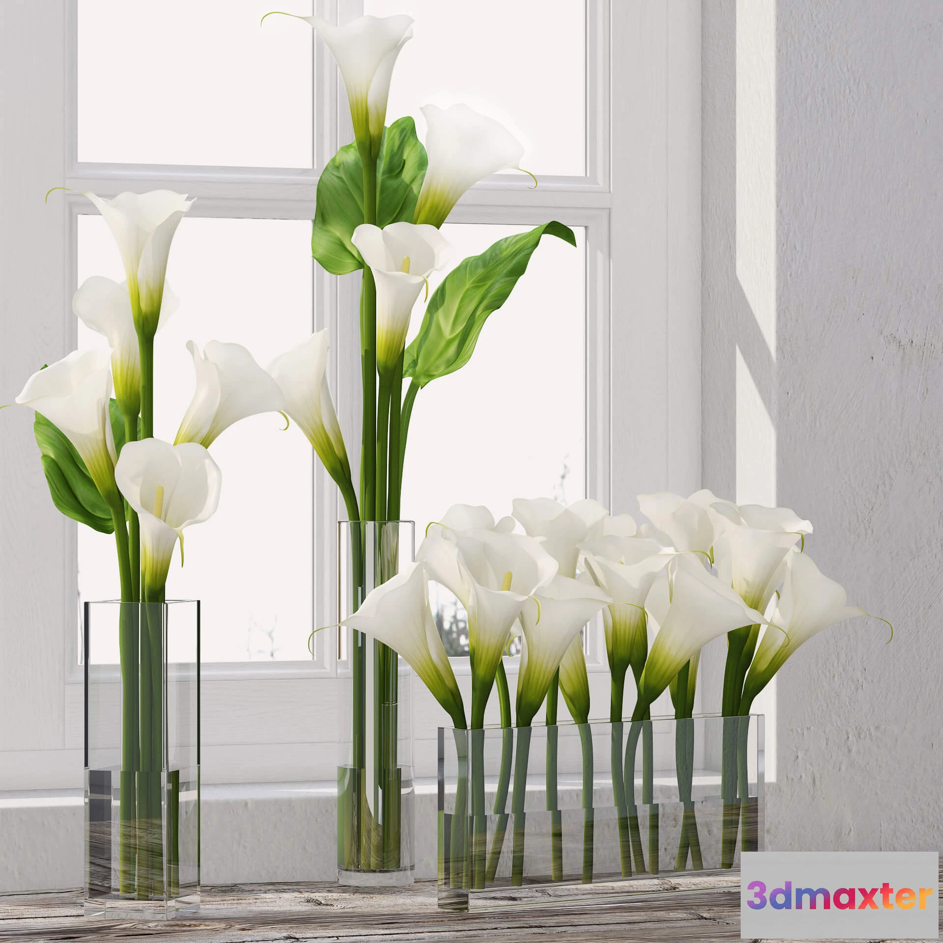 1605292 - decoration - Calla Lily 55 3D Max