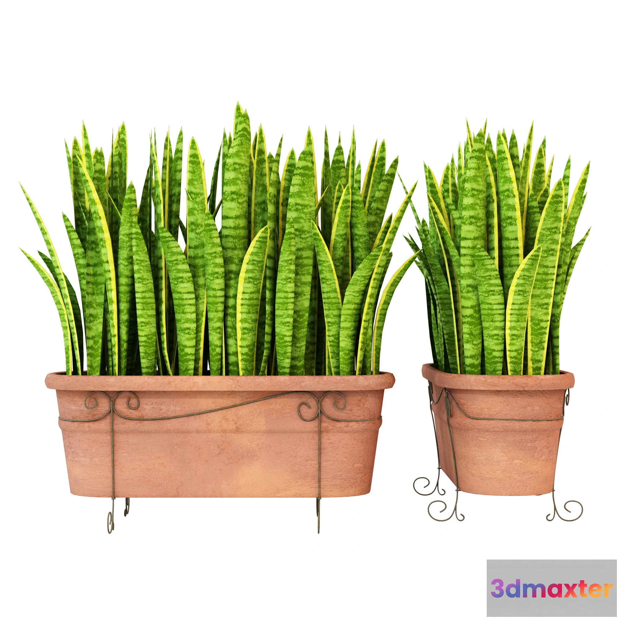 1605316 - decoration - Plants 103 3D Max