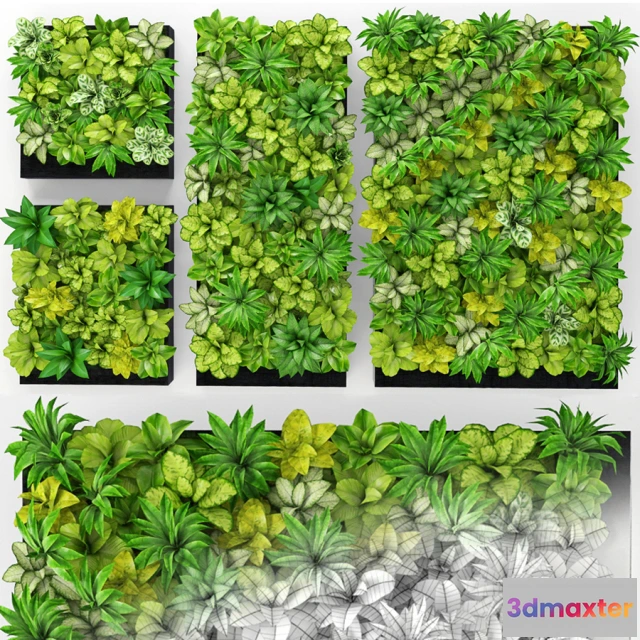 1605342 - decoration - Plants set 015 3D Max