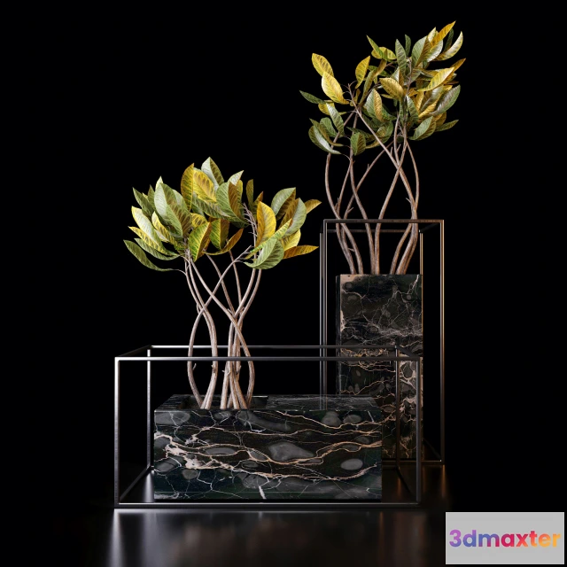 1605350 - decoration - Croton trees 55 3D Max