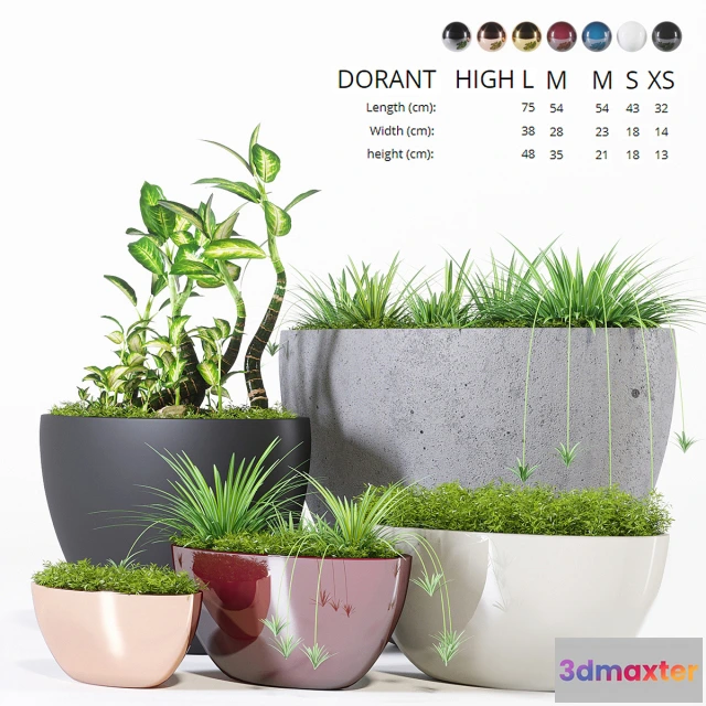 1605362 - decoration - Plants collection 321 3D Max