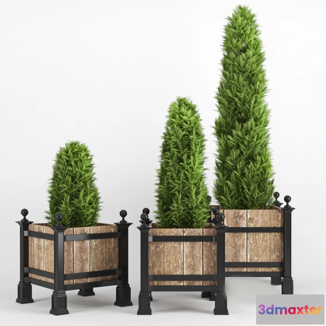 1605372 - decoration - Plants collection 105 3D Max