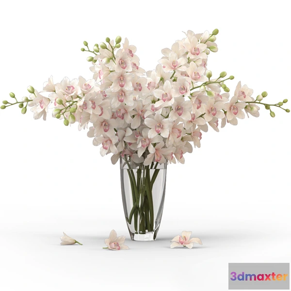 1605382 - decoration - Orchids with willow branches 04 3D Max