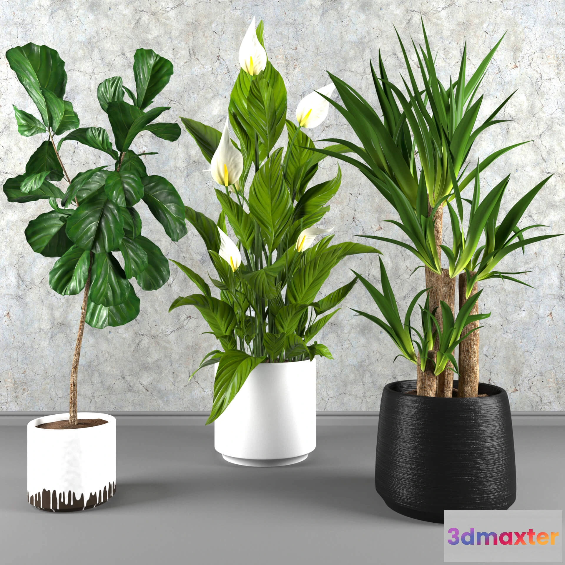 1605384 - decoration - Contemporary houseplant set 3 3D Max