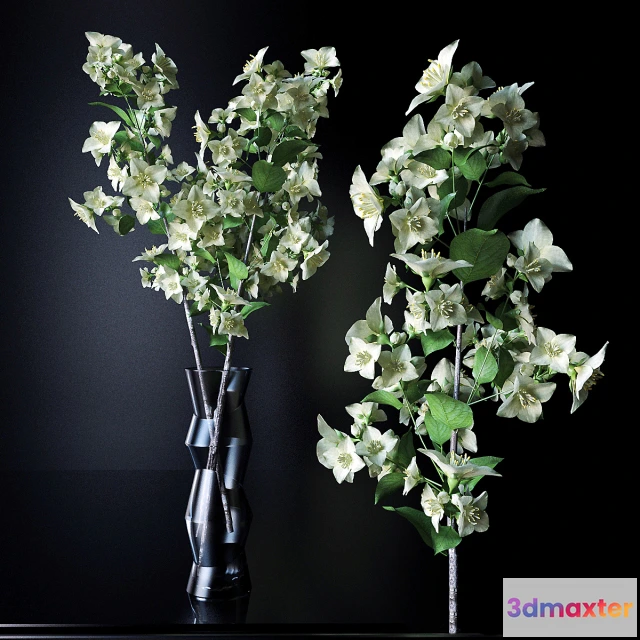 1605398 - decoration - Plant Jasmine 01 3D Max