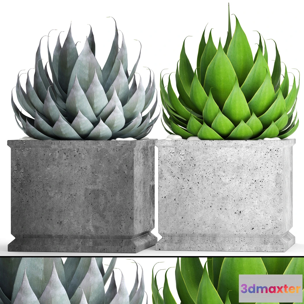 1605402 - decoration - Plant set 07 3D Max