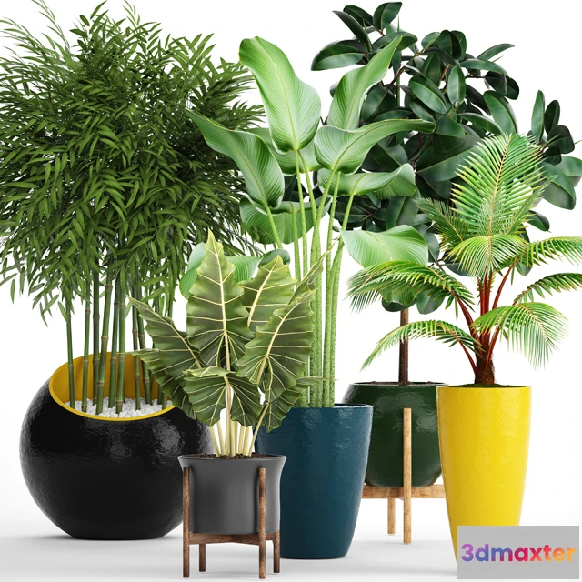 1605404 - decoration - Big set plants 03 3D Max