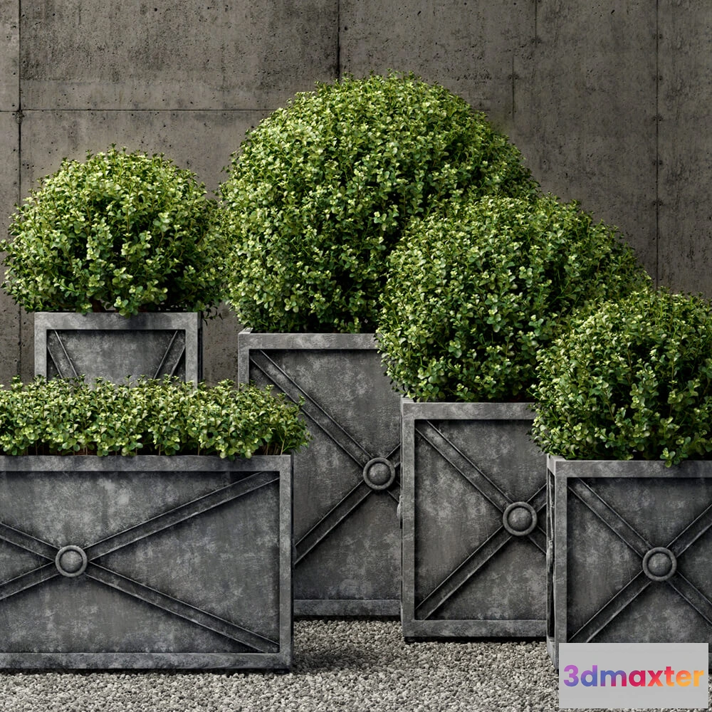 1605408 - decoration - Plants collection 259 3D Max