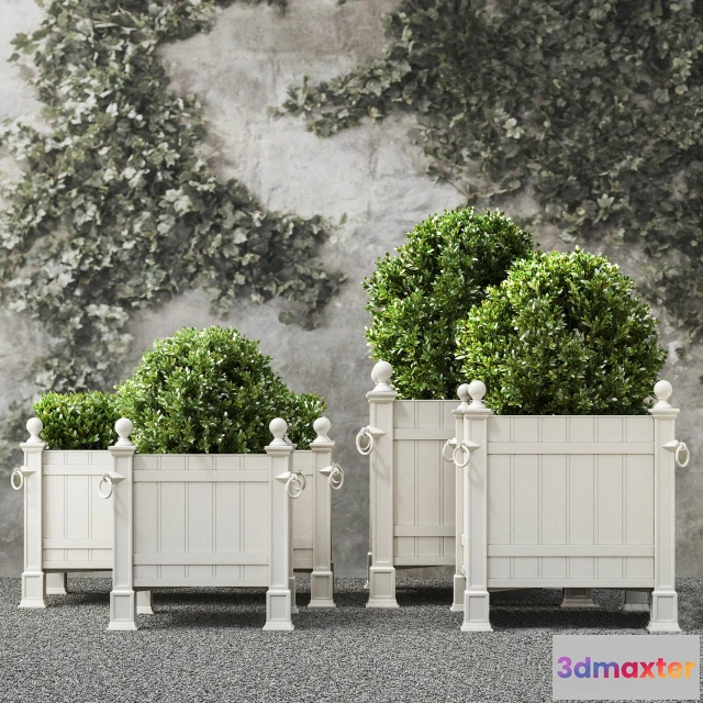 1605418 - decoration - Plants collection 541 3D Max