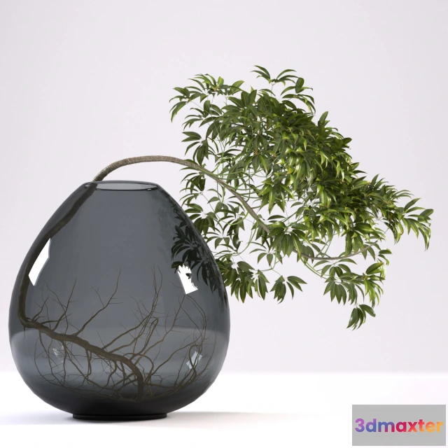 1605424 - decoration - Plants 555 3D Max