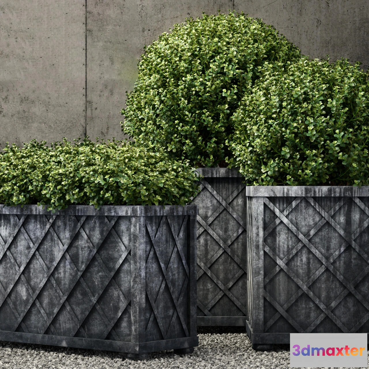 1605432 - decoration - RH plants collection 46 3D Max