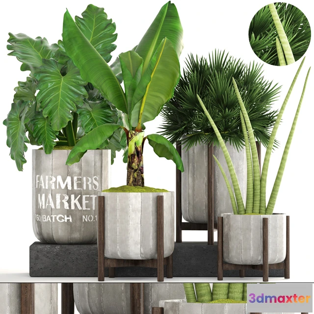 1605452 - decoration - Plants 230 3D Max