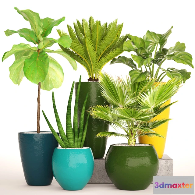 1605456 - decoration - Plants collection 671 3D Max