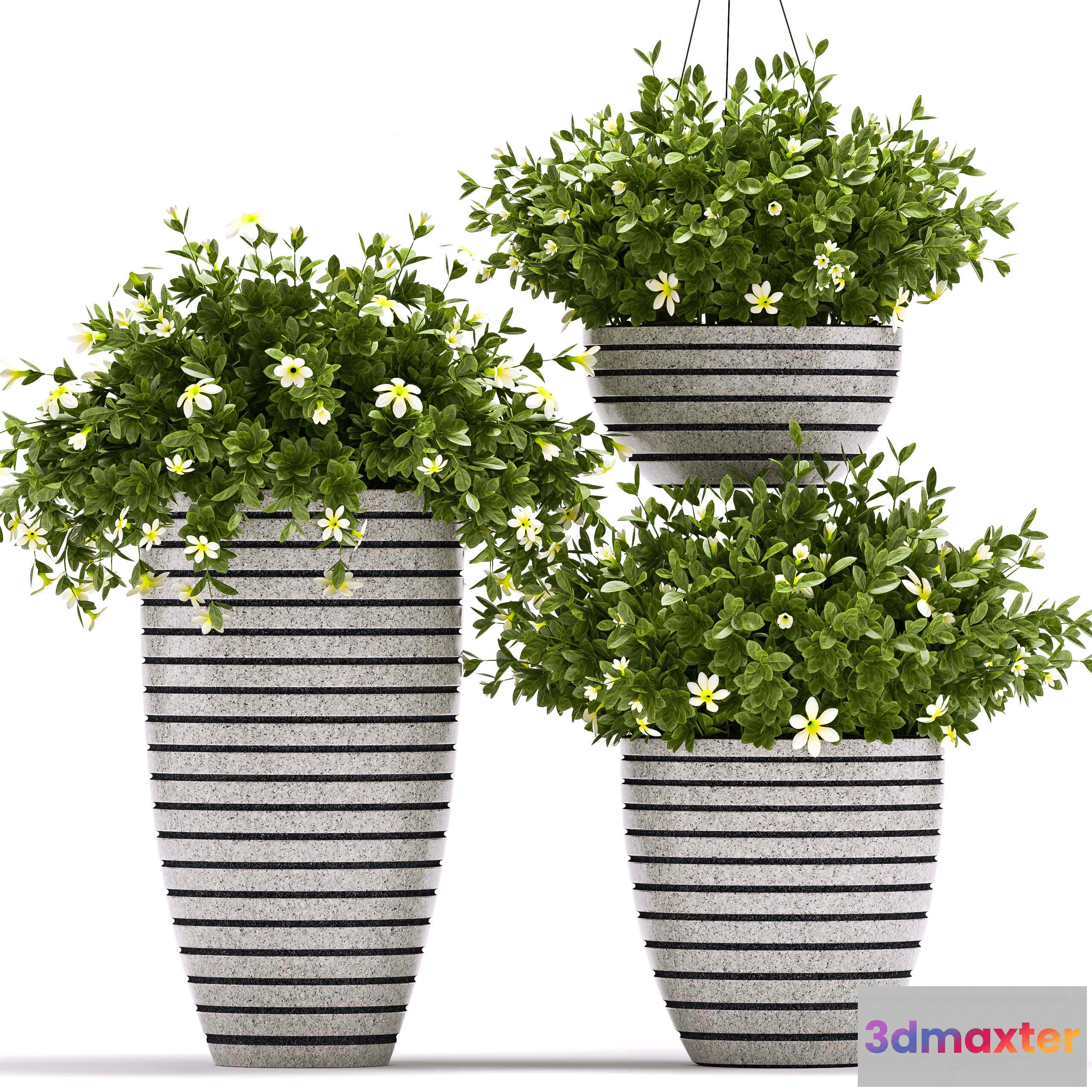 1605466 - decoration - Plants 888 3D Max