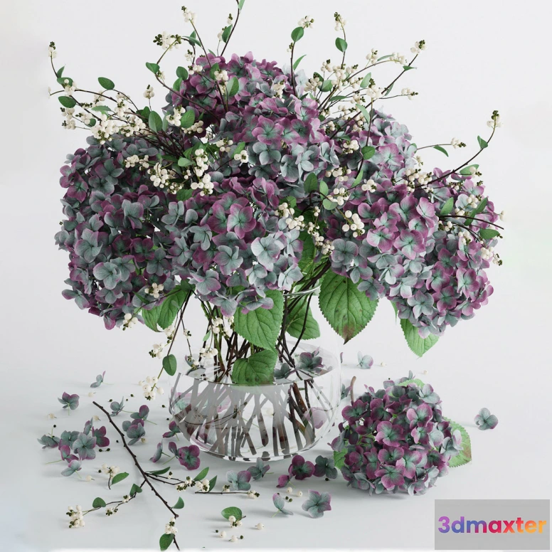 1605478 - decoration - Hydrangea 123 3D Max