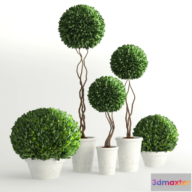 1605482 - decoration - Plants collection 585 3D Max