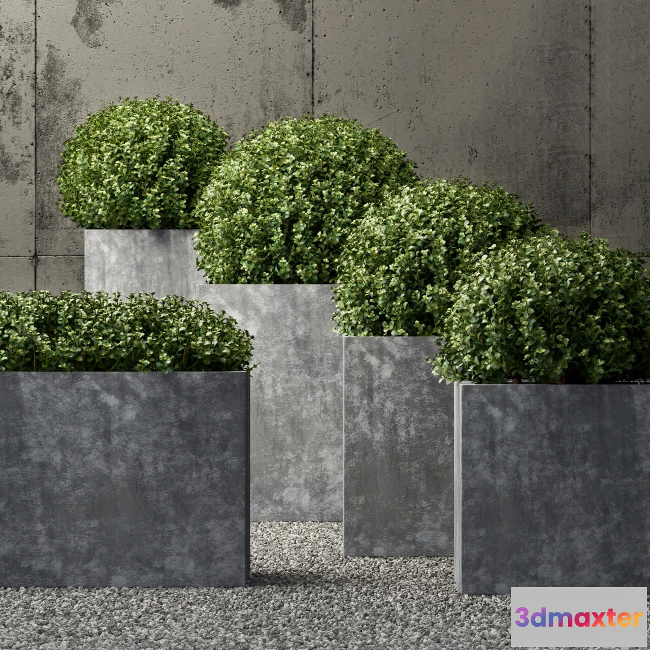 1605502 - decoration - Plants collection 174 3D Max