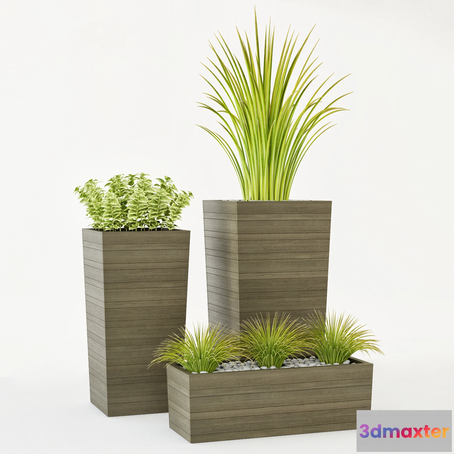 1605506 - decoration - Crate & Barrel plants 3D Max