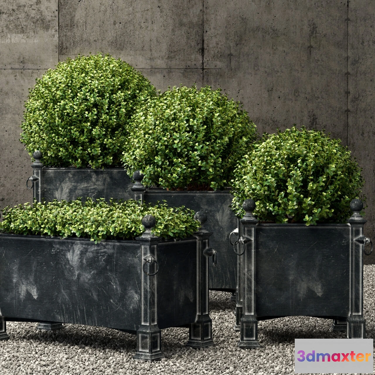 1605536 - decoration - Plants collection 156 3D Max