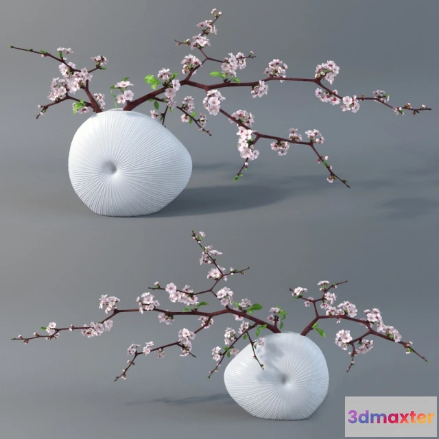 1605548 - decoration - Cherry branches 02 3D Max