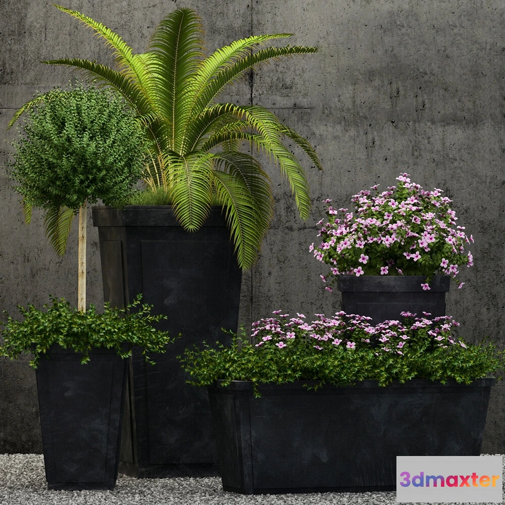 1605552 - decoration - Plants collection 177 3D Max