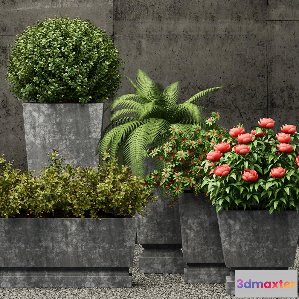 1605558 - decoration - Plants collection 211 3D Max