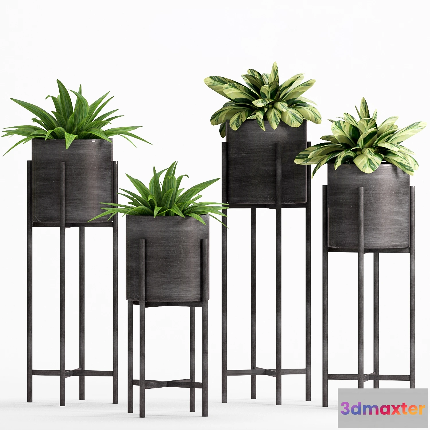 1605560 - decoration - Plants collection 178 3D Max