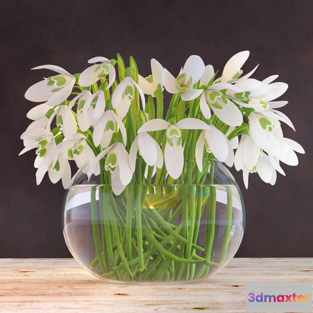 1605572 - decoration - Snowdrops 71 3D Max