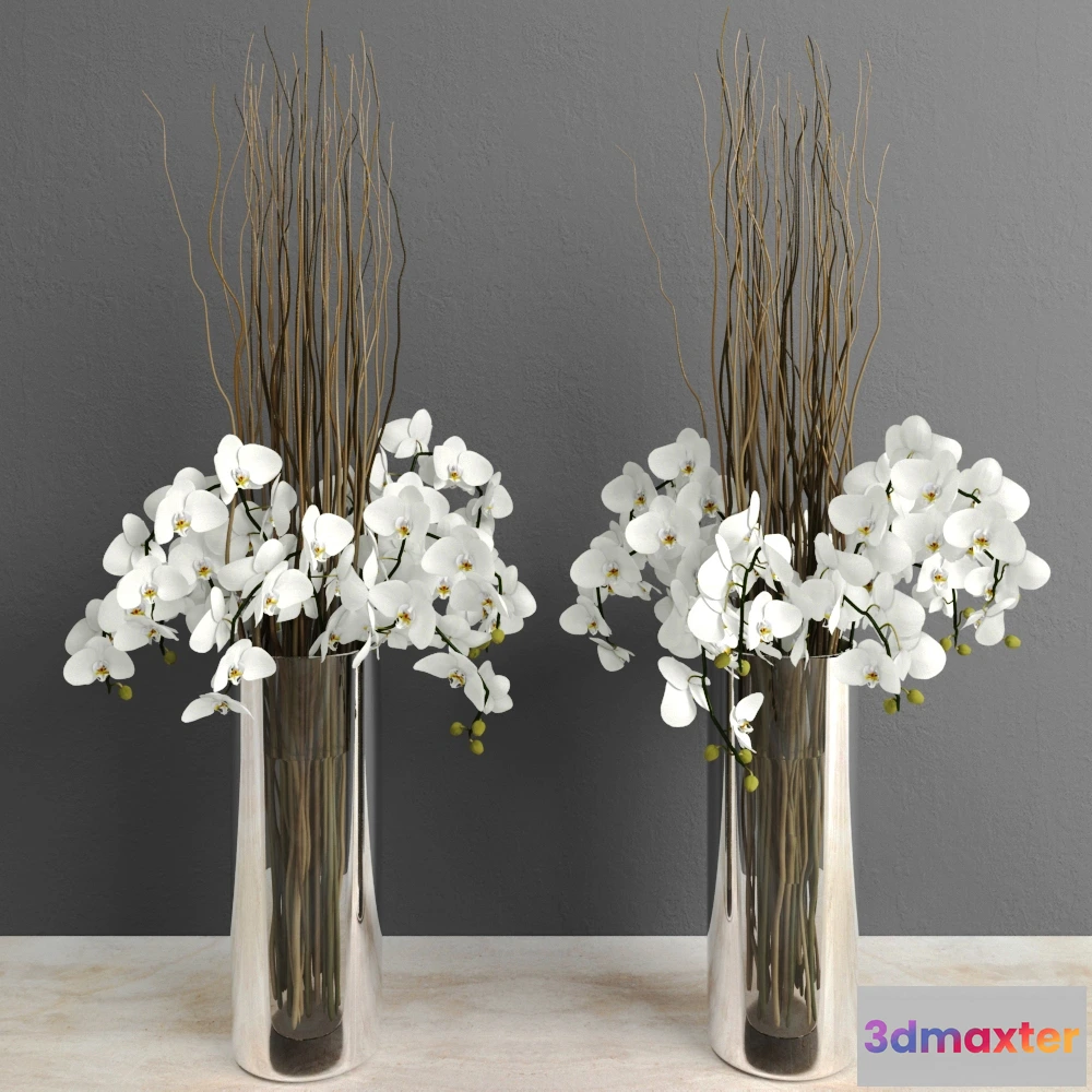 1605598 - decoration - Orchids with willow branches 89 3D Max