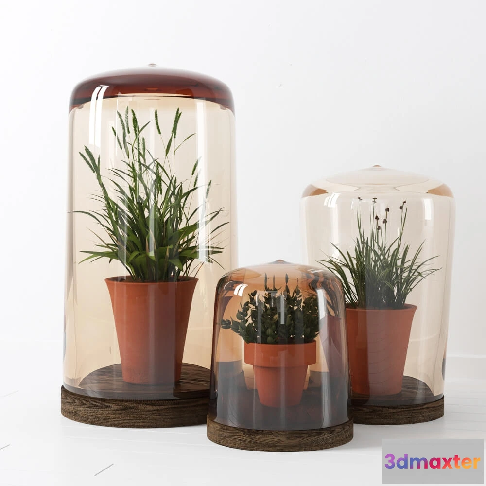 1605638 - decoration - RH-flower plants 10 3D Max