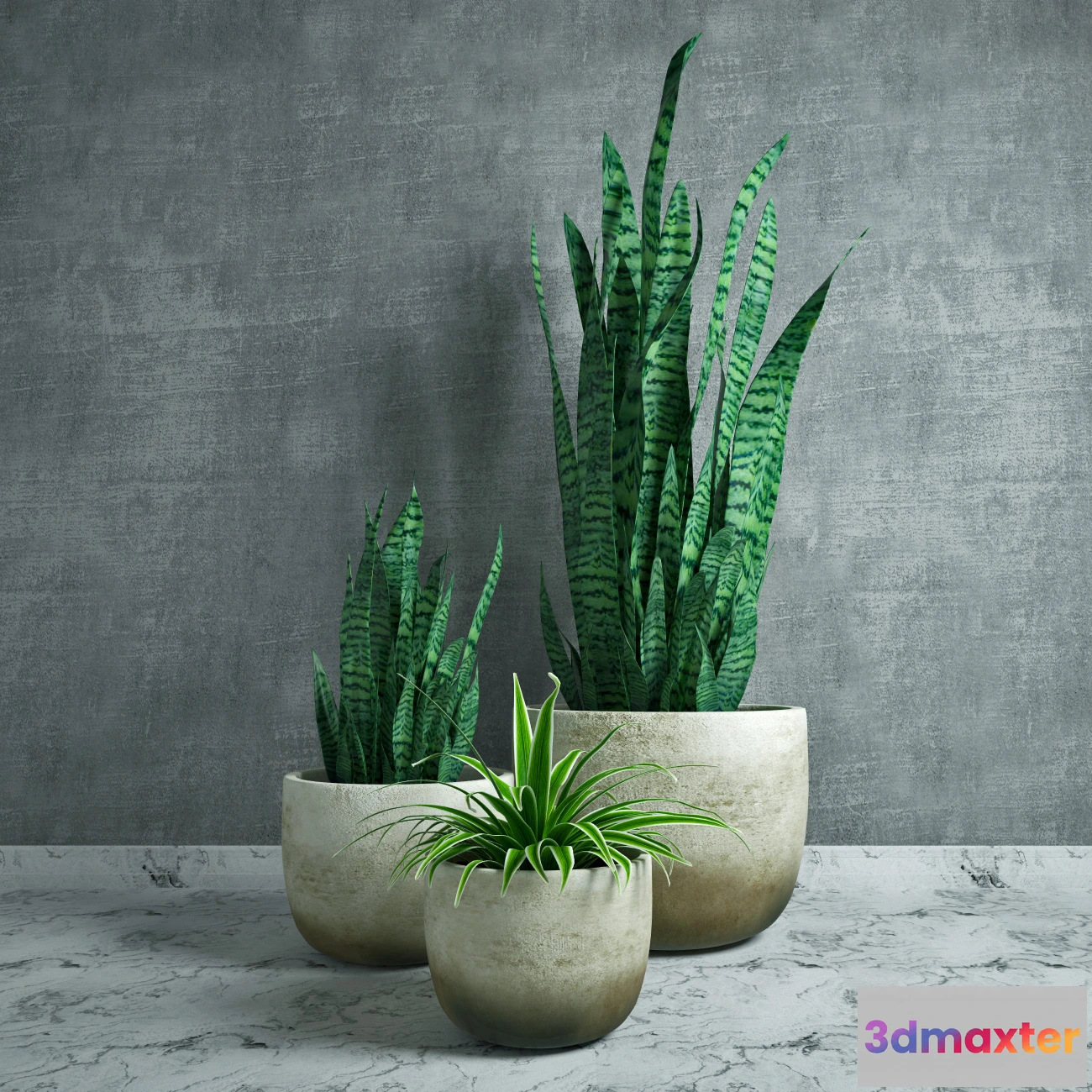 1605642 - decoration - Plants collection 12 3D Max