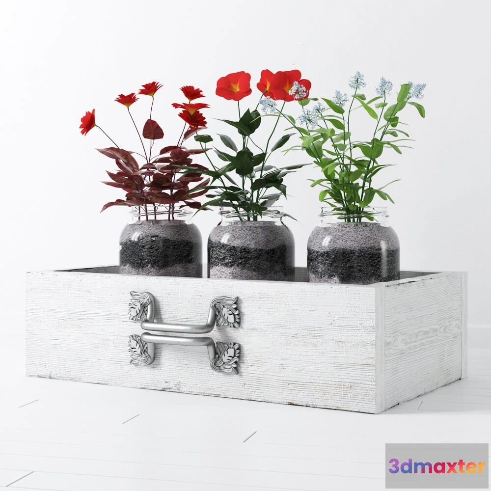 1605652 - decoration - Flower plant 12 3D Max