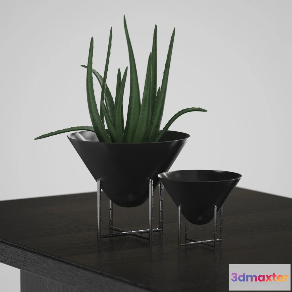 1605658 - decoration - Aloe vera decvase 3D Max