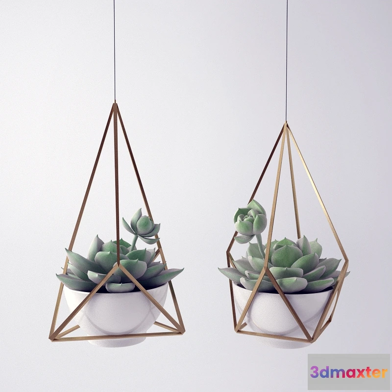 1605674 - decoration - Sempervivum 3D Max