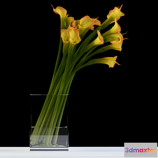 1605676 - decoration - Calls 3D Max