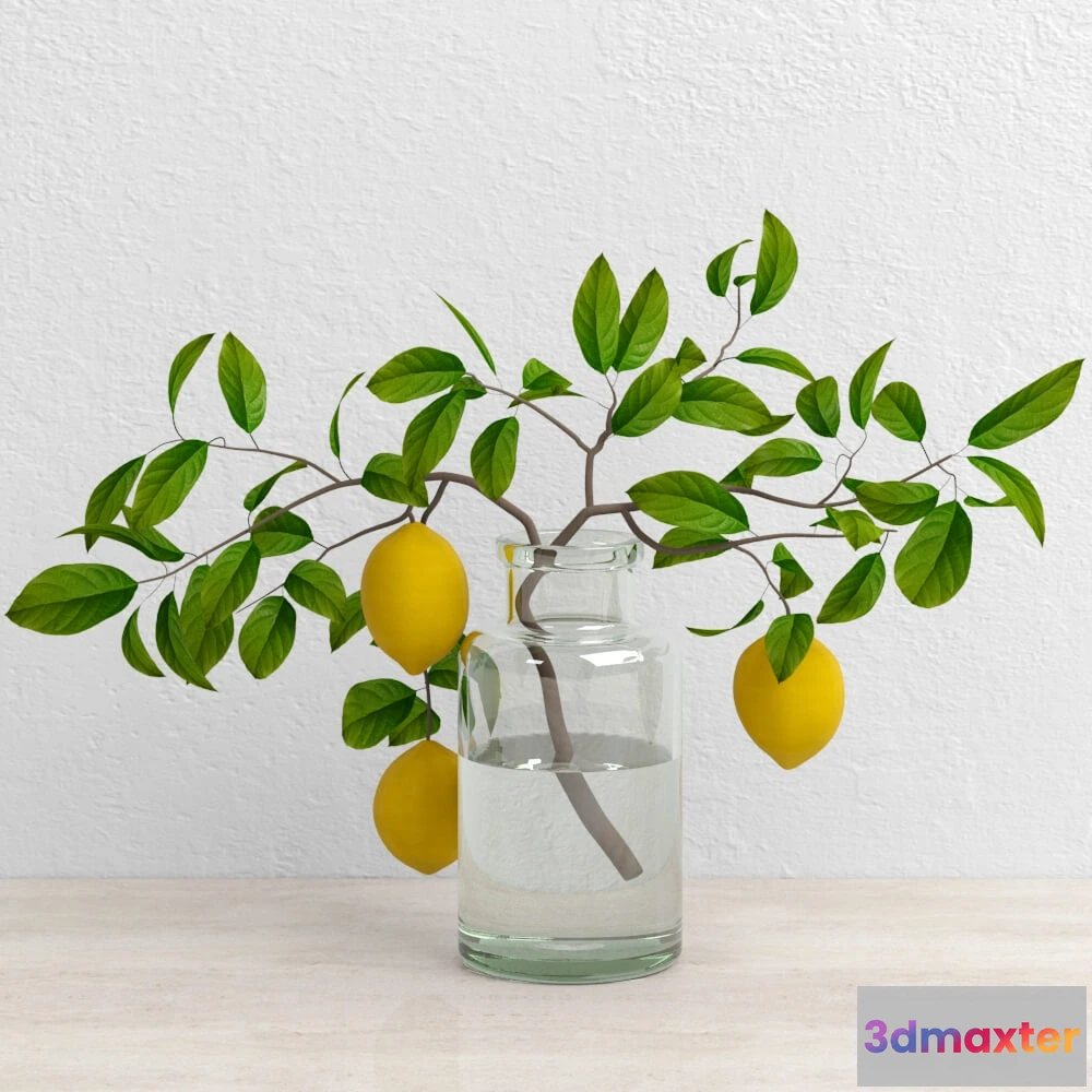 1605678 - decoration - Lemons on branch setka 3D Max