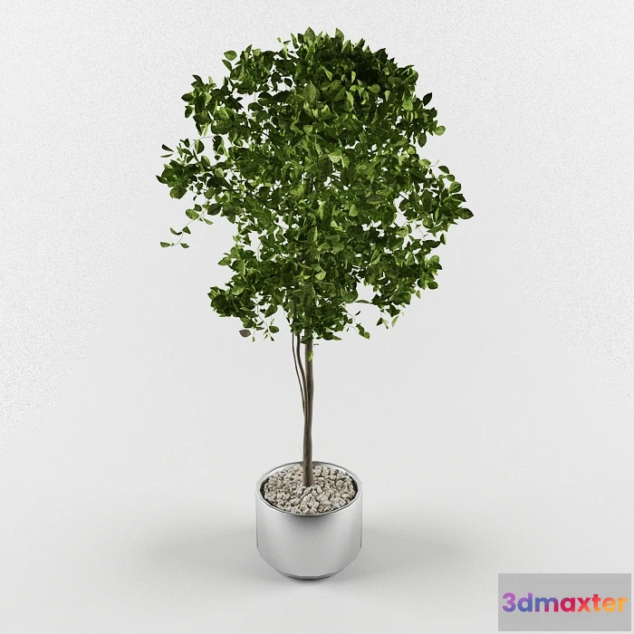 1605680 - decoration - Tree 9 3D Max