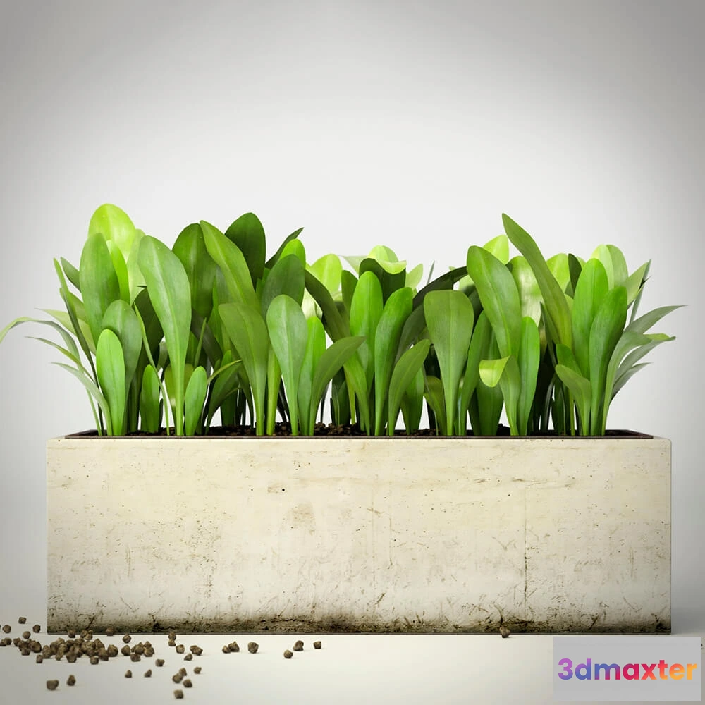 1605684 - decoration - Plants 98 3D Max