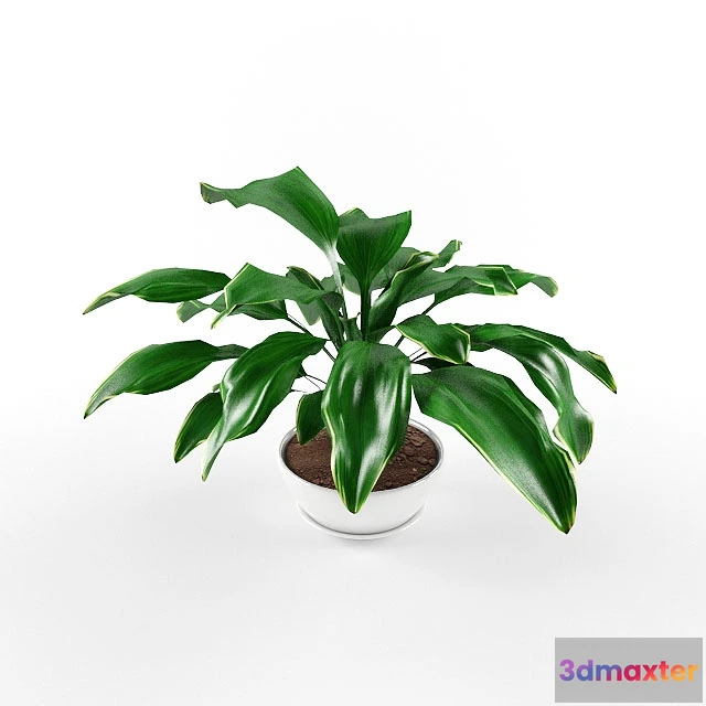 1605686 - decoration - Plants 91 3D Max