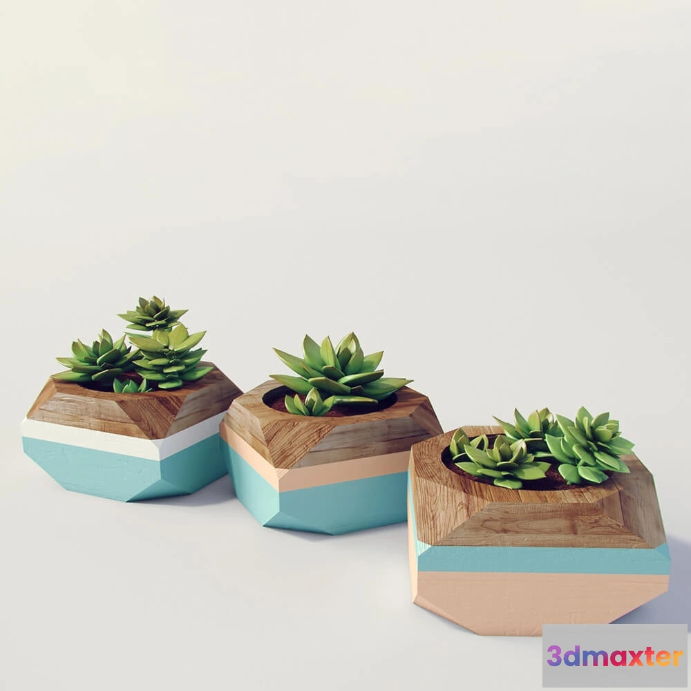 1605690 - decoration - Plants 582 3D Max