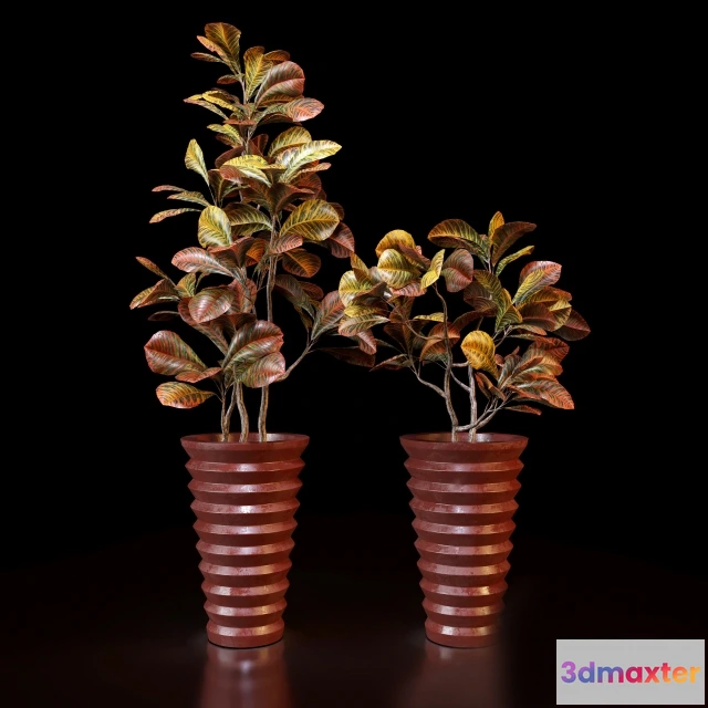 1605696 - decoration - Red Croton 3D Max