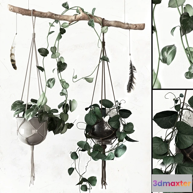 1605698 - decoration - Plant set 3D Max